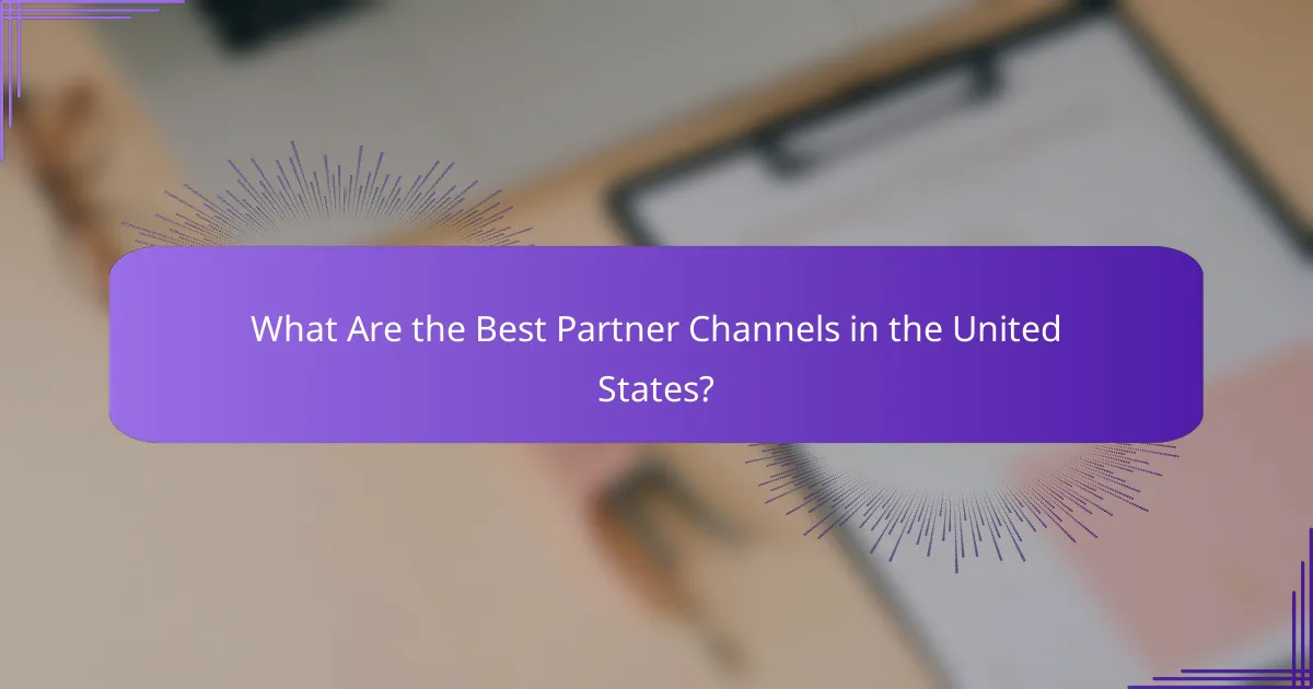 What Are the Best Partner Channels in the United States?