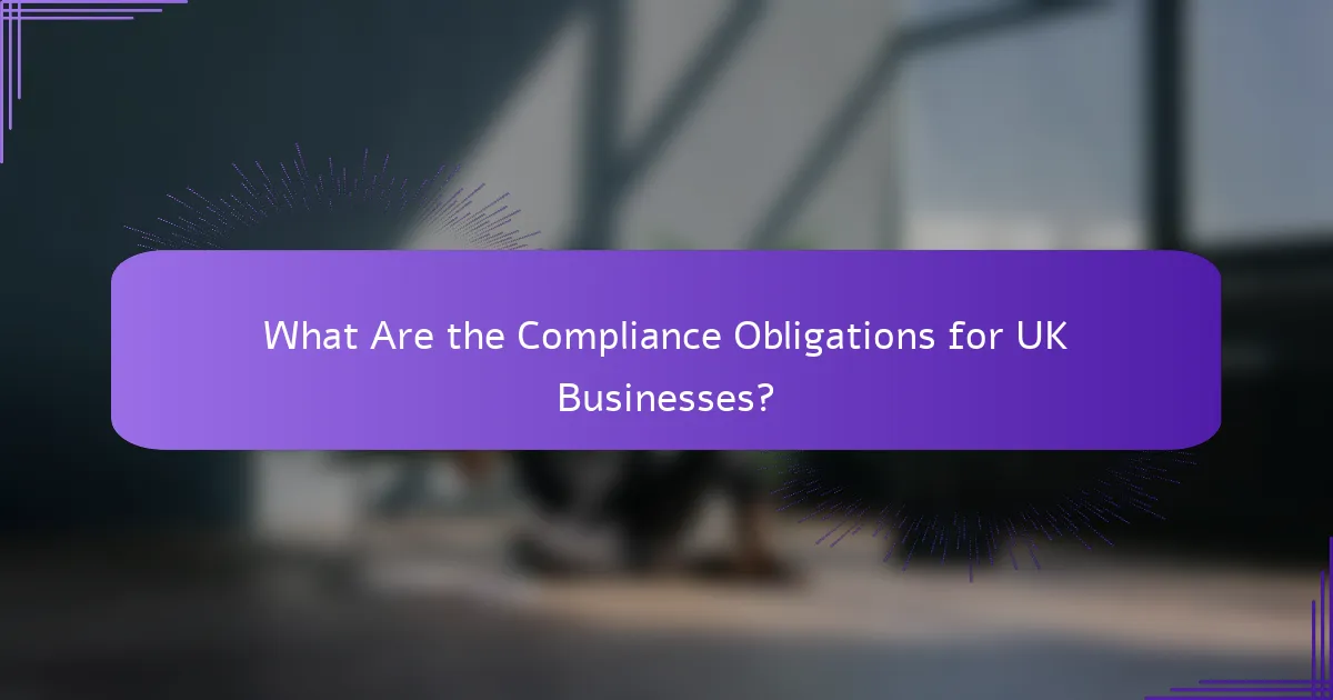 What Are the Compliance Obligations for UK Businesses?