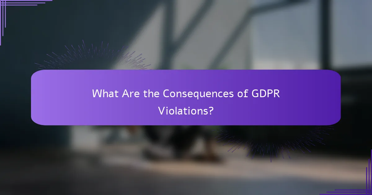 What Are the Consequences of GDPR Violations?