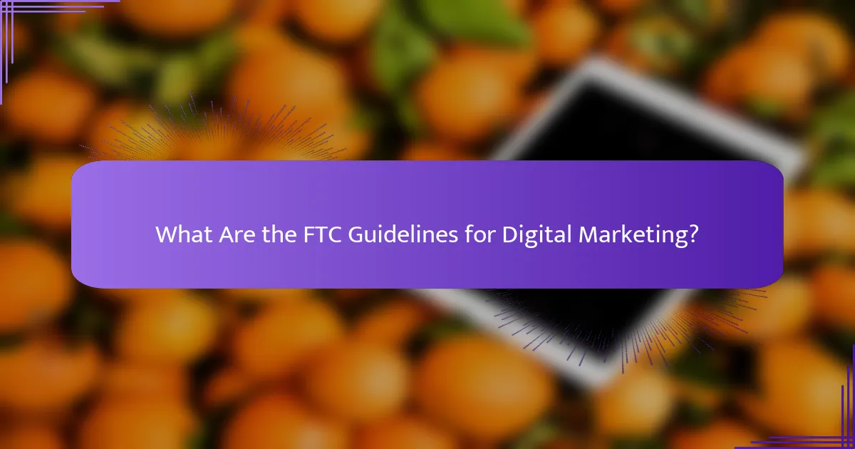 What Are the FTC Guidelines for Digital Marketing?